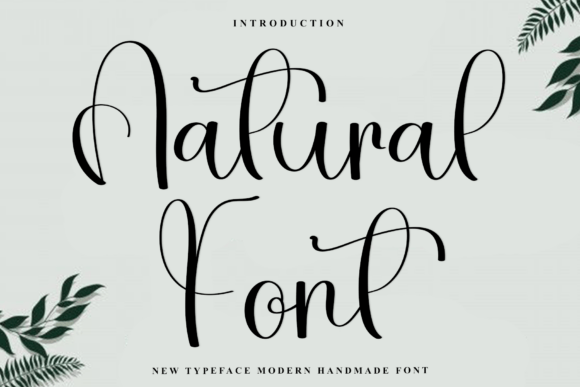 Download Natural - Premium Bundle